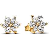 Pandora Sparkling Herbarium Cluster Stud Earrings - Gold/Transparent