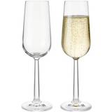Glas Champagneglas Rosendahl Grand Cru Champagneglas 24cl 2stk
