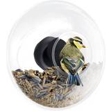 Fugle & Insekter - Gummi Kæledyr Eva Solo Window Feeder Ball Small