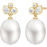 Julie Sandlau Krystal Smykker Julie Sandlau Treasure Earrings - Gold/Pearls/Transparent