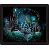 Billeder Pyramid Harry Potter 3D Image Multicolour Billede 29x24cm