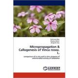Micropropagation & Callogenesis of Vinca rosea. L. Shagufta Naz 9783848438174 (Hæftet)