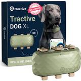 Tractive Hunde Kæledyr Tractive TG4XL GPS Tracker