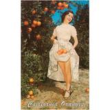 Dame - Orange Jeans Claudie Pierlot The Vintage Journal Woman with Oranges in Skirt, California 9781648116889