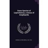 Yours Tøj Yours Some Species of Leptocheirus, Genus of Amphipoda Alfred Merle Norman 9781379124276