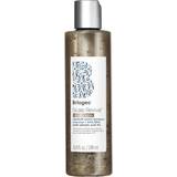 Briogeo Slidt hår Shampooer Briogeo MegaStrength + Dandruff Relief Shampoo 248ml