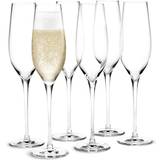 Holmegaard Opvask i hånden Champagneglas Holmegaard Cabernet Champagneglas 29cl 6stk