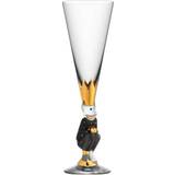 Orrefors Håndmalede Champagneglas Orrefors Nobel The Sparkling Devil Dark Grey Champagneglas 19cl