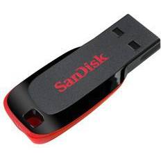 SanDisk 32 GB Hukommelseskort & USB Stik SanDisk Cruzer Blade 32GB USB 2.0