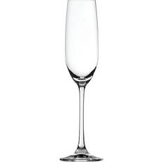 Spiegelau Glas Champagneglas Spiegelau Salute Champagneglas 21cl 4stk