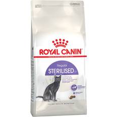 Royal Canin Dyrlægefoder - Katte - Zink Kæledyr Royal Canin Sterilised 37 10kg