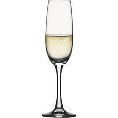 Spiegelau Glas Champagneglas Spiegelau Soiree Champagneglas