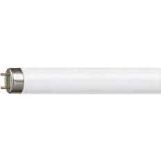 G13 - Varme hvide Lyskilder Philips Master TL-D Super 80 Fluorescent Lamp 18W G13