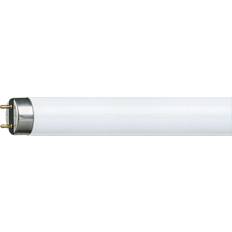 G13 - Varme hvide Lyskilder Philips TL-D Fluorescent Lamp 36W G13