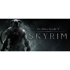 Xbox 360 spil The Elder Scrolls 5: Skyrim (Xbox 360)