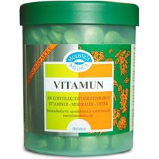 Holistic Vitamun 300 stk