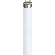 Philips Master TL-D HF Super 80 Fluorescent Lamp 32W G13