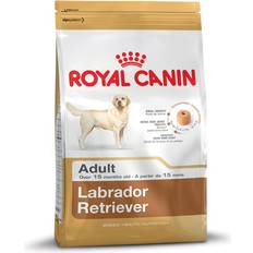 Royal Canin C-vitaminer - Hunde - Tørfoder Kæledyr Royal Canin Labrador Retriever Adult 12kg