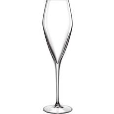 Luigi Bormioli Krystalglas Køkkentilbehør Luigi Bormioli Prosecco Champagneglas 27cl 2stk