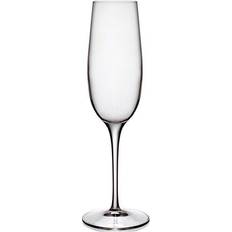 Luigi Bormioli Uden håndtag Glas Luigi Bormioli Palace Champagneglas 23.5cl 6stk
