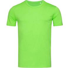 Stedman Grøn - S T-shirts & Toppe Stedman Morgan Crew Neck T-shirt - Green Flash