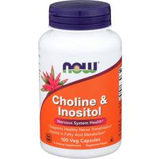 Now Foods Choline & Inositol 500mg 100 stk