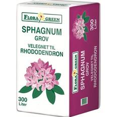 Flora Green Spagnum Grov