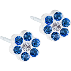 Blomdahl Daisy Earrings 5mm - White/Blue/Transparent