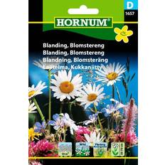 Hornum Blanding Blomstereng (1657)
