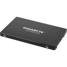 Gigabyte GP-GSTFS31100TNTD 1TB