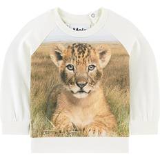 Molo 68 Sweatshirts Molo Esco - Young Lion (3S21A403 7394)