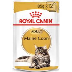 Royal Canin Katte - Vådfoder - Zink Kæledyr Royal Canin Maine Coon 12x85g