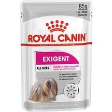 Royal Canin Hunde - Vådfoder Kæledyr Royal Canin Exigent Care