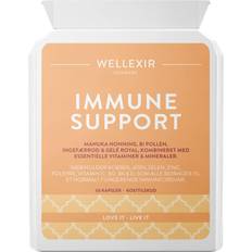 Wellexir Immune Support 60 stk