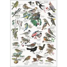 Koustrup & Co. Garden Birds Plakat 42x59.4cm