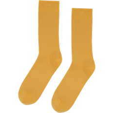 Colorful Standard Classic Organic Sock - Burned Yellow