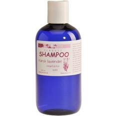 MacUrth Shampoo Lavendel 250ml
