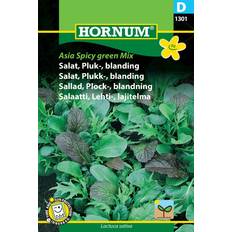 Hornum Asia Spicy Greens Mix