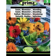 Prima Blomsterfrø Prima Salat Blomster Blanding