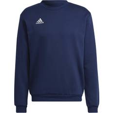 Adidas Grøn - S Tøj adidas Entrada sweatshirt Team