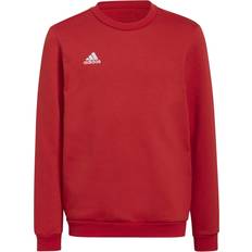 Adidas Grøn Sweatere adidas Entrada Sweatshirt 152