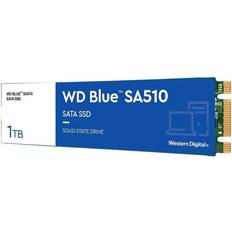 Western Digital Blue WDS100T3B0B 1TB