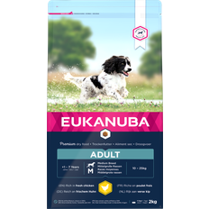 Eukanuba Hunde - Tørfoder Kæledyr Eukanuba Dog Adult Medium Breed Chicken 12kg