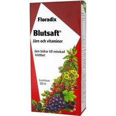 Kollagen Vitaminer & Kosttilskud Floradix Salus Blutsaft Large Bottle 500ml