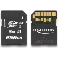 DeLock SD Express Hukommelseskort 256 GB