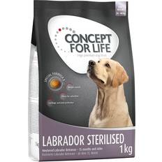 Concept for Life Hunde Kæledyr Concept for Life 1kg Labrador Sterilised hundefoder
