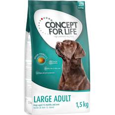 Concept for Life Hunde Kæledyr Concept for Life 4x1,5kg Large Adult hundefoder