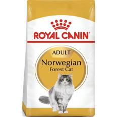 Royal Canin Katte - Led & Mobilitet - Tørfoder Kæledyr Royal Canin Norwegian Forest Cat 10kg