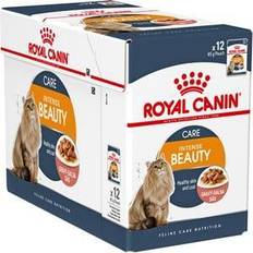 Royal Canin D-vitaminer - Katte - Vådfoder Kæledyr Royal Canin Intense Beauty in Gravy 12x85g