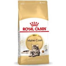 Royal Canin Katte - Tørfoder Kæledyr Royal Canin Maine Coon Adult Kattemad 10kg